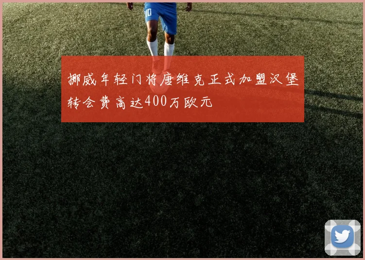 挪威年轻门将唐维克正式加盟汉堡转会费高达400万欧元