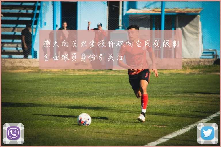 热火向戈尔金报价双向合同受限制自由球员身份引关注