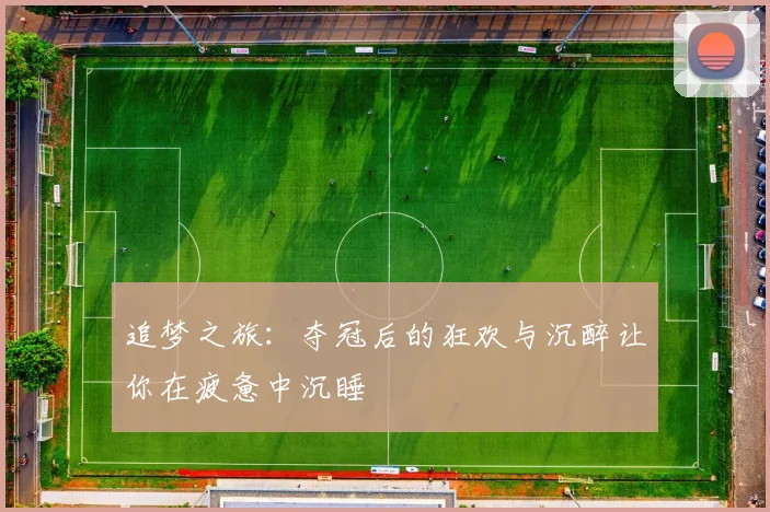 追梦之旅：夺冠后的狂欢与沉醉让你在疲惫中沉睡